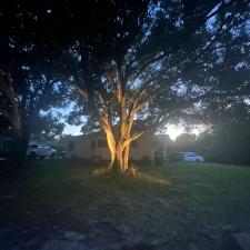 Best-quality-landscape-lighting-service-in-port-orange-fl 0