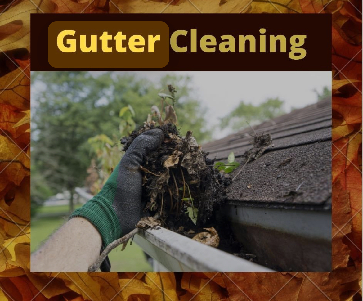 Top quality gutter cleaning in port orange fl (1)