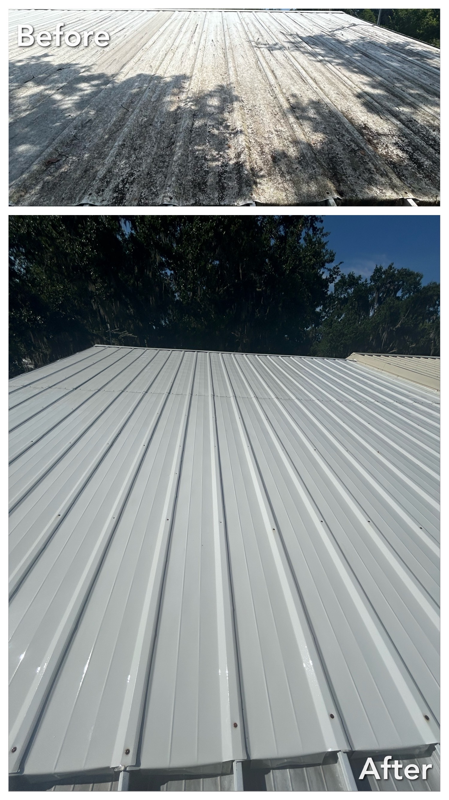 Top quality roof cleaning in port orange Florida 